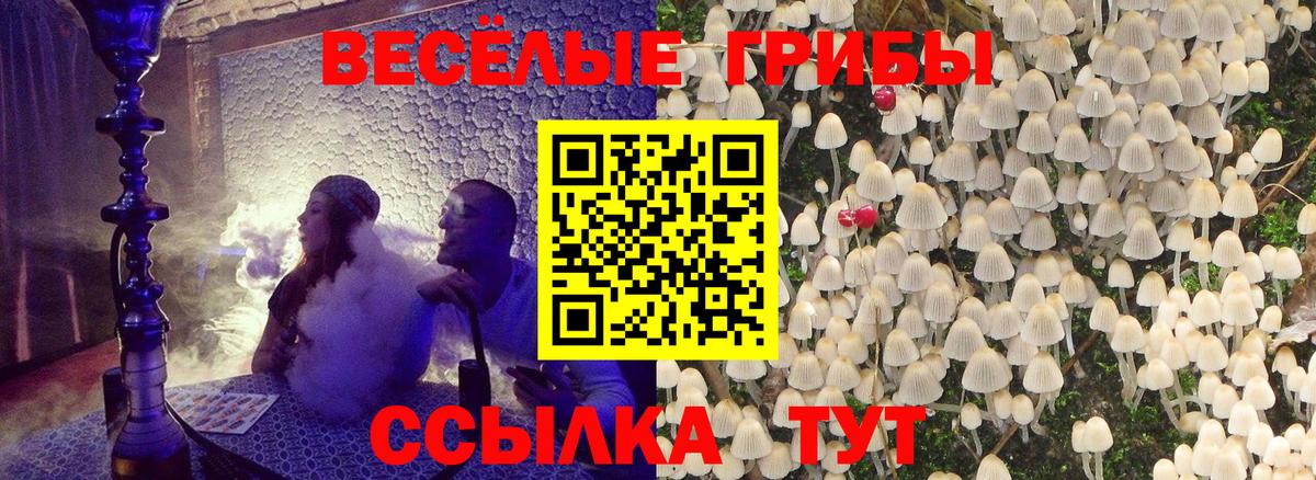 Галлюциногенные грибы Psilocybe Лосино-Петровский